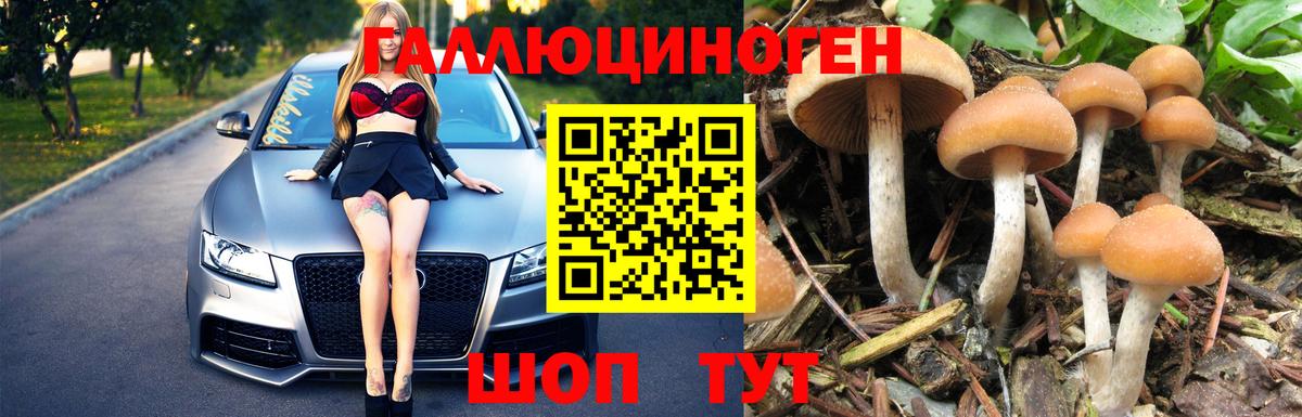 Псилоцибиновые грибы MAGIC MUSHROOMS Стрежевой