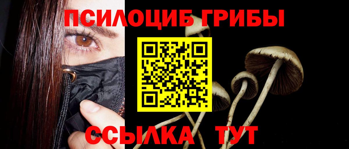 Галлюциногенные грибы Magic Shrooms  Вход с VPN  Стрежевой 